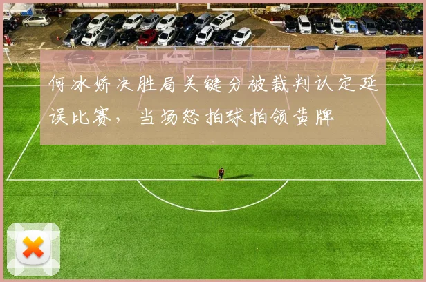何冰娇决胜局关键分被裁判认定延误比赛，当场怒拍球拍领黄牌